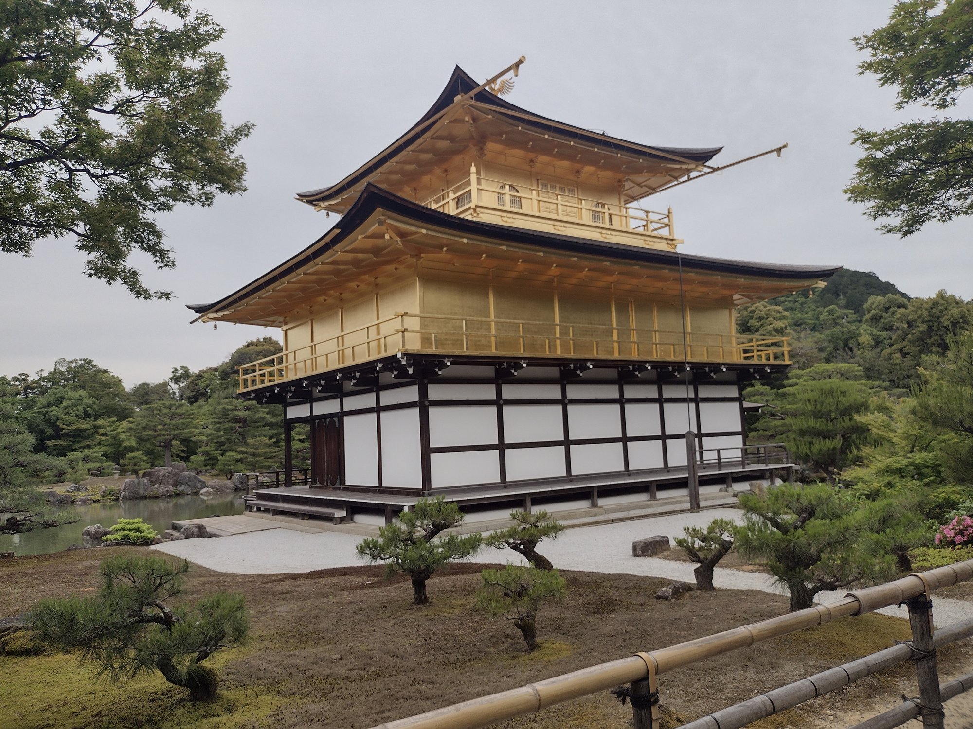 IMG_20230518_164711630_HDR