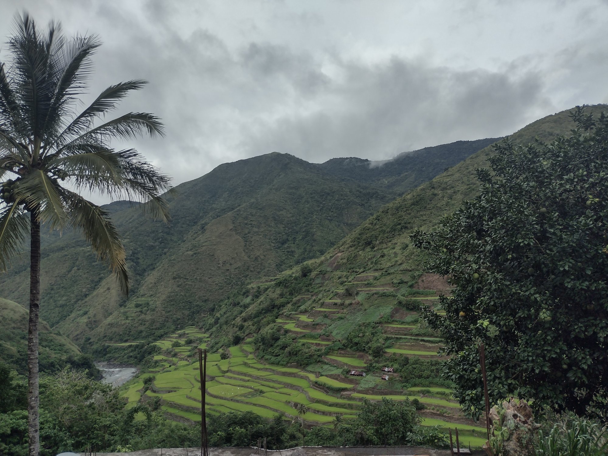 IMG_20230627_174400129_HDR
