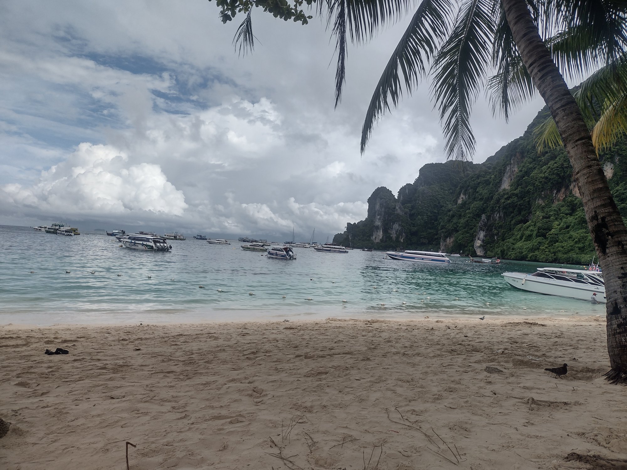 IMG_20230810_151810685_HDR